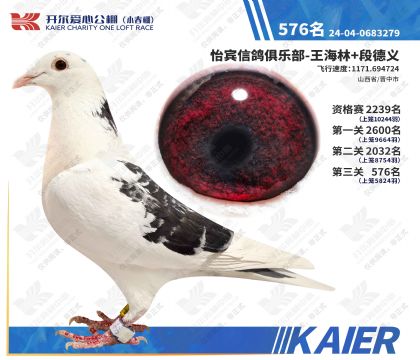 �_�����Ĺ���С����Qِ576��