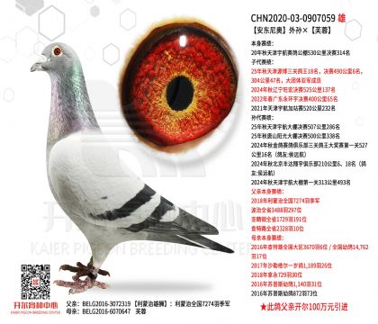 2���游20-0907059