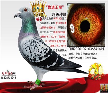 母亲一鲁道王后