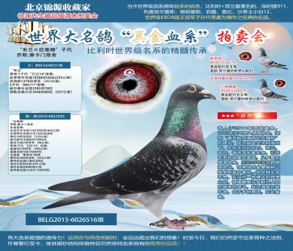 ���Tԭ��-���Ϳɡ�X���P�١�X�����̖(h��o)��X��������I��