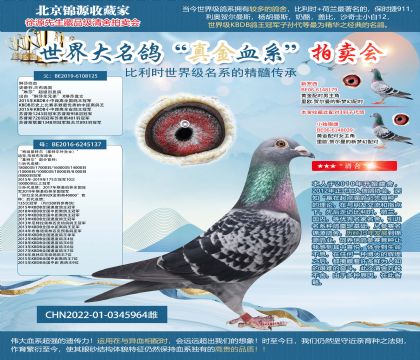 ���؄e���ؠ���ֱŮ22-0345964��