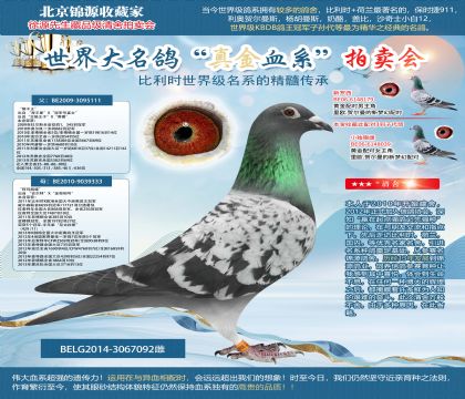 �w��ԭ��-���{�󰬱ȡ�