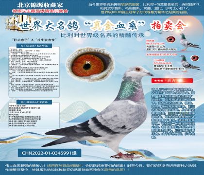 ���û�ֱ�ӡ�X����ţȮֱŮ��22-0345991��