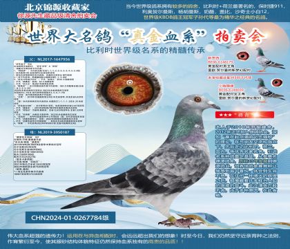 ���û�ֱ�ӡ�X���ٶȻ�ȫ���á�24-0267784��