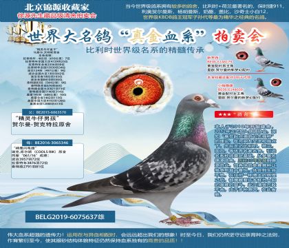 �R����.����˹ԭ�ᡰ���`ţ��ֱ�ӡ�