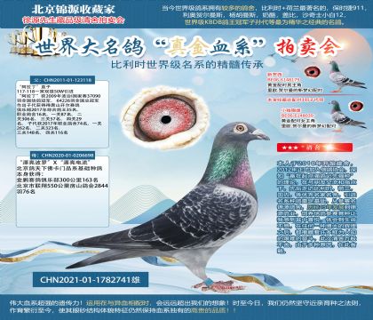 ���T����������X��Ư�����_��X��Ư�������