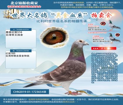 �t��؂19-1723654��