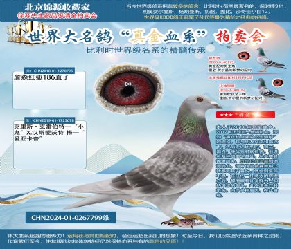 �t��؂X�������^��X���մ��^��24-0267799��