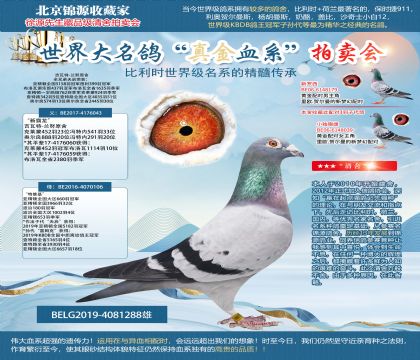 ������-�mŬԭ�ᡰ�°�����X���ؾS����