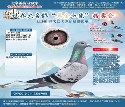 ���_�Ơ�ֱ�O��X���W003��Ѫ19-1723670��