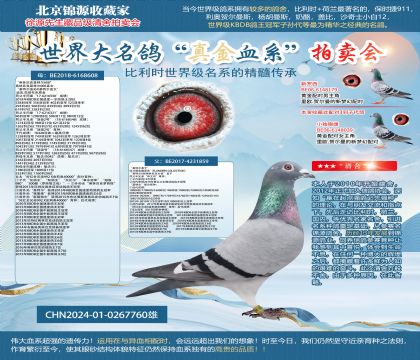 �����ؠ�ֱ�ӡ�X���W��ƥ��006ֱŮ��24-0267760��