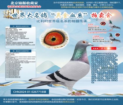 ��������ؠ���ֱ��24-0267718��