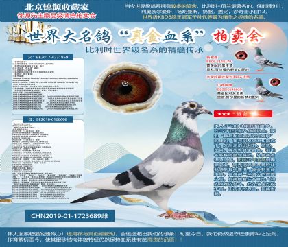 �����ؠ�ֱ�ӡ�X���W��ƥ��006ֱŮ��19-1723689��