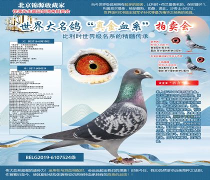 ʷ�ٷ�.�m������ԭ��-�����\(y��n)̖(h��o)��X ����ɯȫ����324��