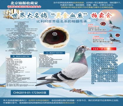 �����ؠ�ֱ�ӡ�X�W��ƥ���_����ȫ����19-1723645��