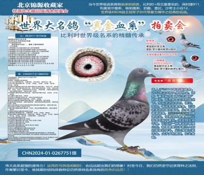 ��(d��)����ѻ��ؠ�ȫ�ֵ�ֱ��24-0267751��