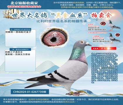 ����240X�Ͽ�����W24-0267739��