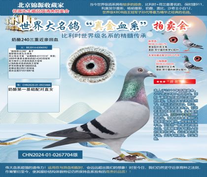 ����240���ؽ��H��Ѫ24-0267704��