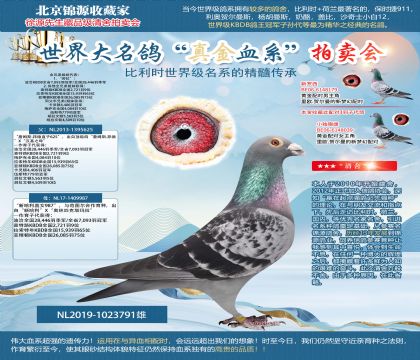 ��.����˹ԭ��-��ղķ˹.���ֱ��625��X���¹���ֱŮ98