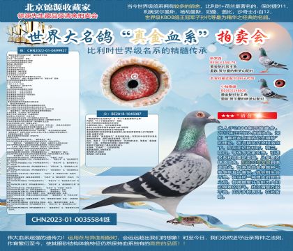 ����ѻ��ؠ���23-0035584��