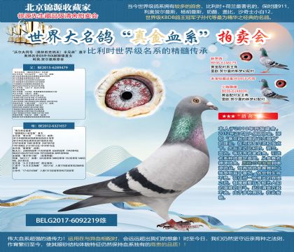 ���Wԭ�ᡰ�֠���?q��)��?h��o)���ֵܡ���������ȫ���á�