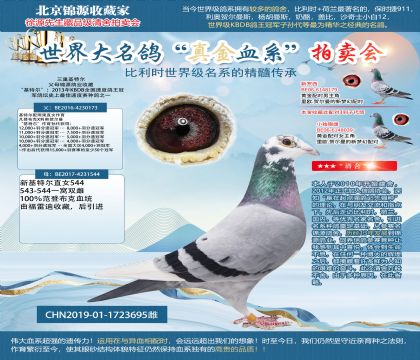 ���ػ��ؠ�19-1723695��