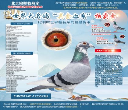 �����ؠ�ֱ�ӡ�X���W��ƥ��006ֱŮ��19-1723693��