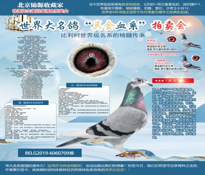 �Ͽ�.���ǲ���ԭ�ᡰ�W��ƥ�˻��ؠ�006ֱŮ��