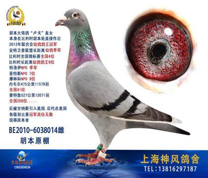 ����-����