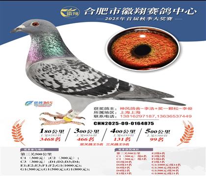 平輩-徽翔鴿王5名