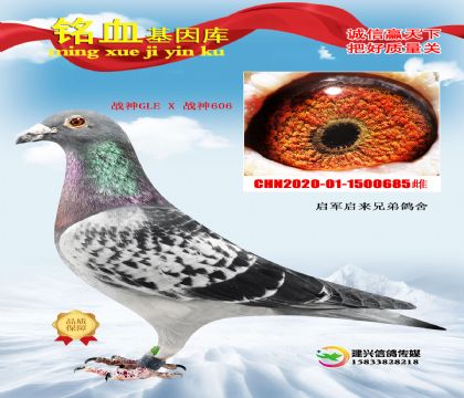 ��܊��������(zh��n)����壬��������116λ