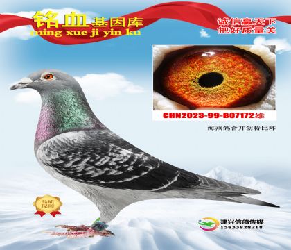 �������᣺����_��(chu��ng)�߅�ِ��