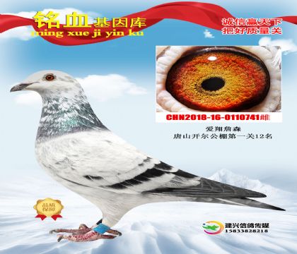 �������I(y��)����ɽ�_������400����327��