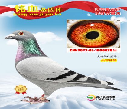 �������I(y��)�����ң���h(hu��n)�N��620