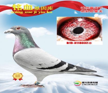 ���_ԭ�᣺�w��  ����̖(h��o)ֱ��XƤ���Z��