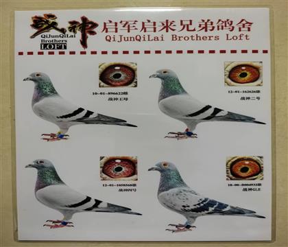 Ѫ�y(t��ng)������