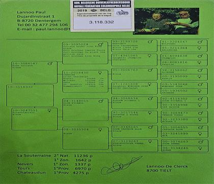 ԭʼѪ�y(t��ng)��