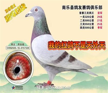 獲獎(jiǎng)子代