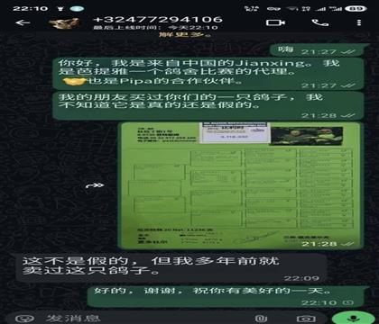 �����C�����g��