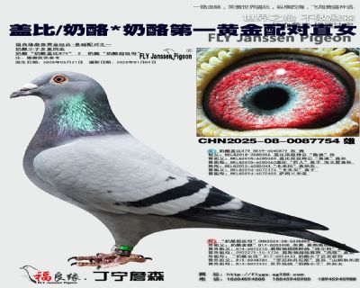 �w��/����/���ҵ�һ�S���䌦ֱŮ