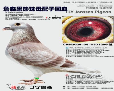 ղɭ������ĸ���ӻ�Ѫ