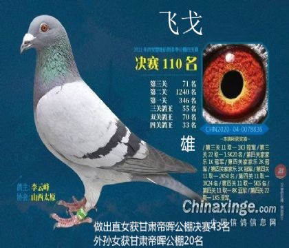 ������ܛQِ110��