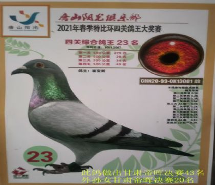 ��ɽ�(y��ng)���رȭh(hu��n)���P(gu��n)����23��