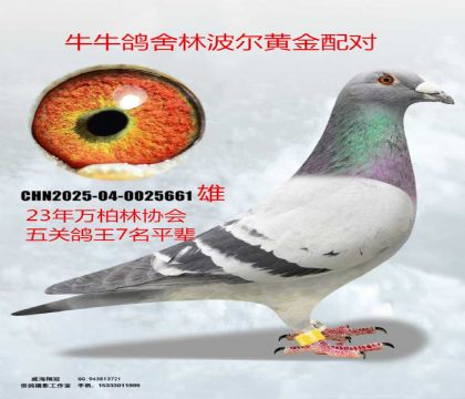 ţţ�ֲ����S���䌦(du��)����