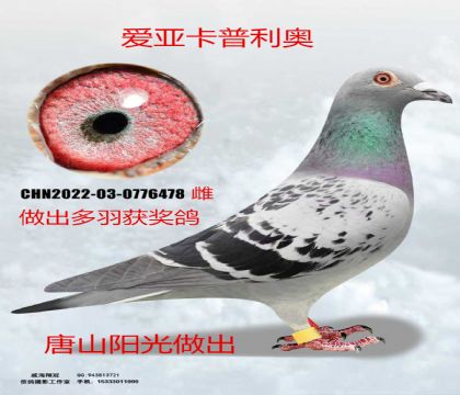 ��ɽ�(y��ng)�������ہ��������W