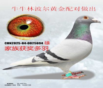 ţţ�ֲ����S���䌦(du��)����