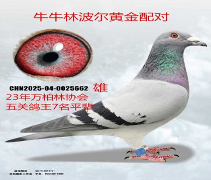 ţţ�ֲ����S���䌦(du��)����