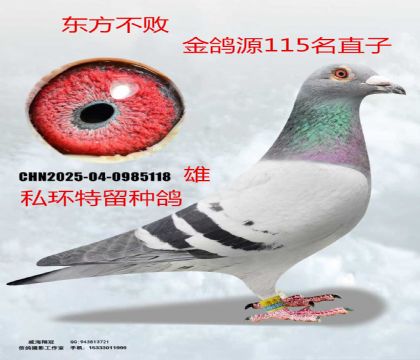 �|����������Դ�Qِ115��ֱ��