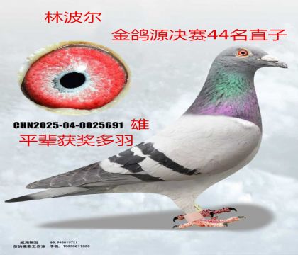 �ֲ�������Դ�Qِ44��ֱ��