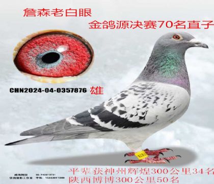 ղɭ�ϰ��۽��H����Դ70��ֱ��